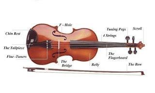 Η οικογένεια των εγχόρδων με δοξάρι της συμφωνικής ορχήστρας, η οικογένεια του βιολιού, όπως συνηθίζεται να λέγεται,