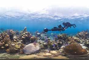 Carte Blanche Κυνηγω ντας κορα λλια Chasing Coral Τζεφ Ορλόφσκι Jeff Orlowski ΗΠΑ 2017, Έγχρωμο 93 USA 2017, Color 93 MAR 3/3 15:15 Φωτογραφι α Cinematography Jeff Orlowski, Zackery Rago, Seaview