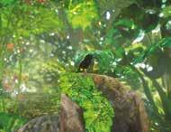 Virtual Reality Ωδικό πτηνό Songbird Λούσι Γκρίνγουελ Lucy Greenwell Δανι α, Ηνωμε νο Βασι λειο 2018, Έγχρωμο 10 Denmark, UK 2018, Color 10 IP Παραγωγοι Producers Anetta Jones, Lana Tankosa Nikolic