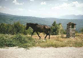 Moυσικη Music ZAN 8/3 22:15 & MAR 9/3 15:00 Όσον ζης φαι νου While You Live, Shine Πολ Ντουέιν Paul Duane Ιρλανδι α, Ελλα δα, ΗΠΑ 2018, Έγχρωμο 78 Ireland, Greece, USA 2018, Color 78 Φωτογραφι α