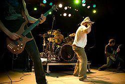 BRUTAL TRUTH Brutal Truth ήταν μια αμερικανική μπάντα grindcore από το Rochester της Νέας Υόρκης, που σχηματίστηκε από τους πρώην Anthrax, Nuclear Assault και