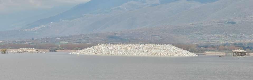 Κατασκευή νησίδων στη λίμνη Κερκίνη, με σκοπό Α) τη φωλαιοποίηση ιδιαίτερα των πελεκάνων που