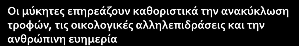 Αποικοδομητές νεκρής οργανικής ύλης (σαπρόφυτα) συντελούν στην