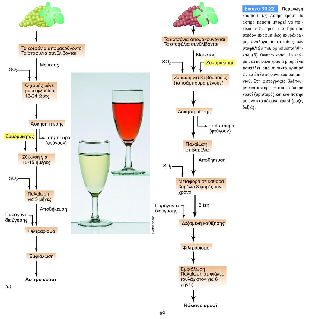 BIOΛOΓIA TΩN MIKPOOPΓANIΣMΩN ΠANEΠIΣTHMIAKEΣ EKΔOΣEIΣ