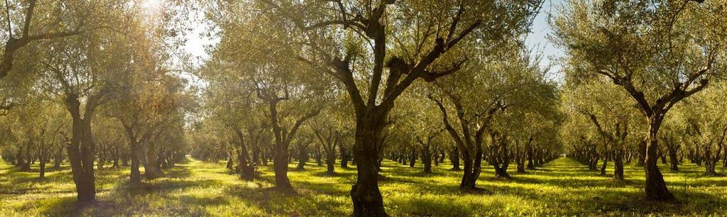 Απολογισμός δράσεων 2017 Ίδρυμα