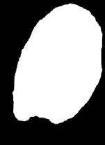 5KG X 2TMX 01-011 SPECK 1/2