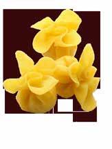 Pasta Fresca Ripiena Ζυμαρικά Φρέσκα με γέμιση 25-090 BON TORTELLONE CACIO E