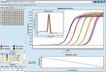 Real time PCR Βασίζεται στην