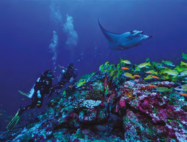 Top προορισμός για καταδύσεις Οι Μαλδίβες φημίζονται ως ένα από τα κορυφαία μέρη στον κόσμο για να ξεκινήσει κανείς τις καταδύσεις.