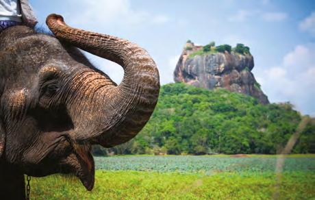 Αξίζει να δω στη Σρι Λάνκα Ανάβαση στον ιερό βράχο Σιγκιρίγια Σαφάρι στο εθνικό πάρκο Γιάλα Επίσκεψη του ναού του Δοντιού στο Κάντυ Ξενάγηση