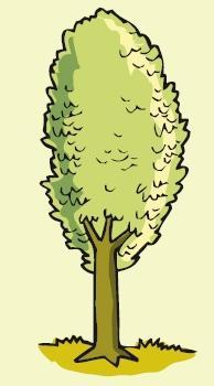 org/about_wwf/ what_we_do/forests/about_forests/ importance/ Mediterranean forests The Mediterranean is one of the most important regions in the world for its forests.