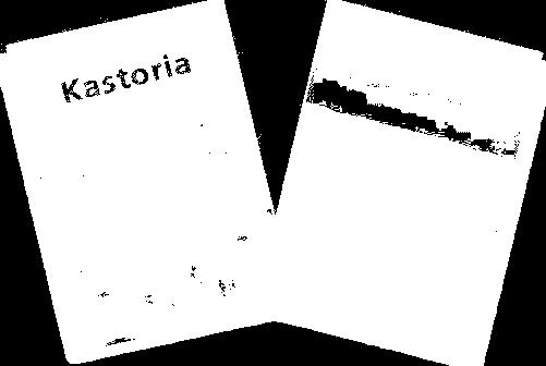 Which town is this text about? The Location: "This town is situated in the north-west of Greece. It is a busy town where -120,000 people live. The town is built next to a lake called Pamvotida.