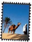 Hi, Nadine! Tunisia is beautiful and a lot of people speak French here.