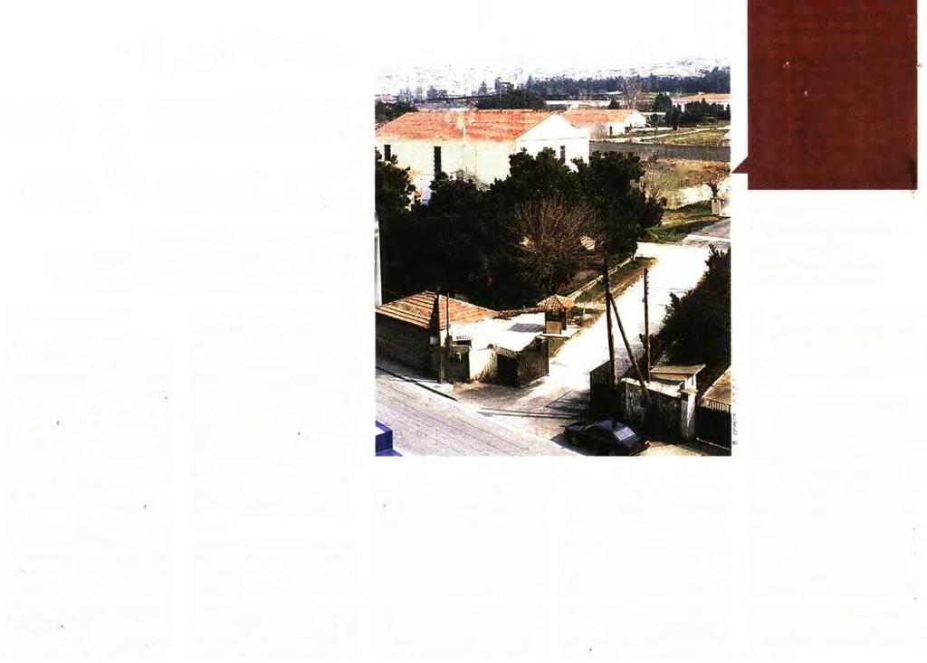 ΤΩΝ