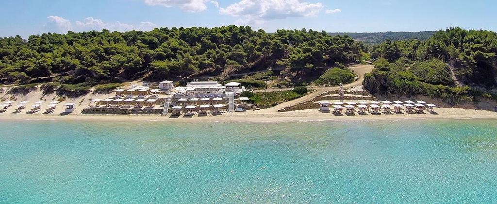 Η Διαμονή σας To Sani Resort κάνει τις επιθυμίες των διακοπών σας πραγματικότητα, προσφέροντας πληθώρα επιλογών από έναν σημαντικό αριθμό εστιατορίων και μπαρ, διαφορετικά είδη αθλητικών