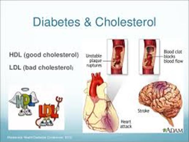 Total Cholesterol (mg/dl) Total Cholesterol Total number of