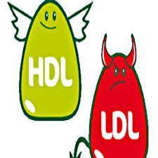 LDL-Cholesterol (last episode in 12 months) LDL-Cholesterol (mg/dl) Total