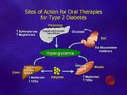Oral Therapy Oral Therapy N Sulphonyluleas