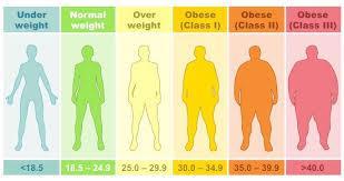 Body Mass Index (BMI), by sex BMI group Males Females Total % of total <18,5, underweight 4 4 1% 18,5-24,9, normal 43 31 74 13%