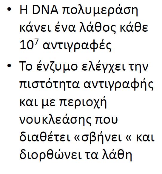 Η DNA πολυμεράση