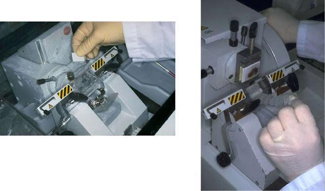 3) Λήψη λεπτών τομών: μικροτόμοι - οπτικό μικροσκόπιο