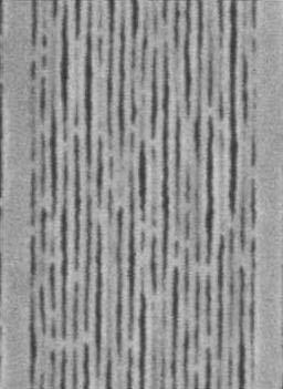 2L) 20 nm