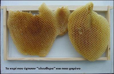 Προϊόντα της μέλισσας