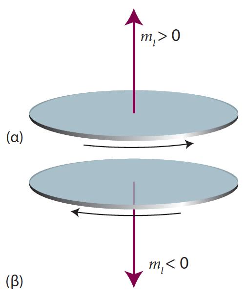 Εφαρμογή 5: Περιστροφική κίνηση σε 2 διαστάσεις Ενεργειακά επίπεδα Κυματοσυναρτήσεις