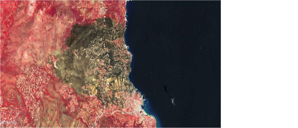 δορυφόρου Sentinel-2 4/8/2018.