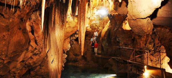 JENOLAN CAVES - SMALL GROUP ΣΠΗΛΙΕΣ JENOLAN Έναρξη: 07:30 Διάρκεια: 11 ώρες Oι σπηλιές Jenolan είναι εκπληκτικές και βρίσκονται στη δυτική πλευρά των Μπλε Βουνών.
