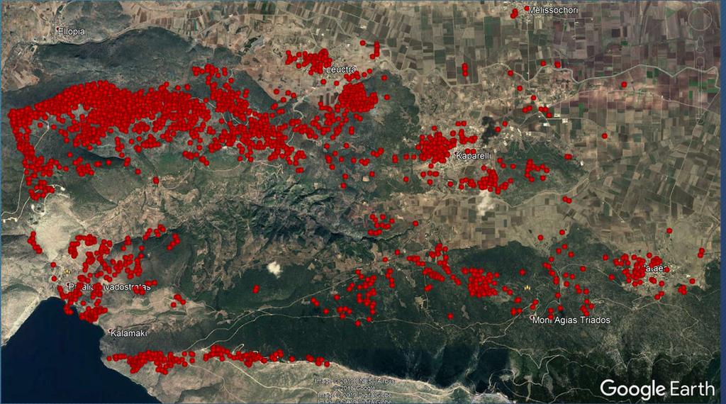 Παρακολούθηση ενεργών ρηγμάτων CONTEMPORARY DEFORMATION OF THE WIDER AREA OF KAPARELLI - PLATAIES WITH THE CONTRIBUTION OF INTERFEROMETRIC TECHNIQUES Η περιοχή μελέτης βρίσκεται στο γεωγραφικό τμήμα
