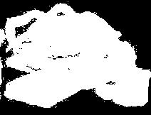 λη    λη