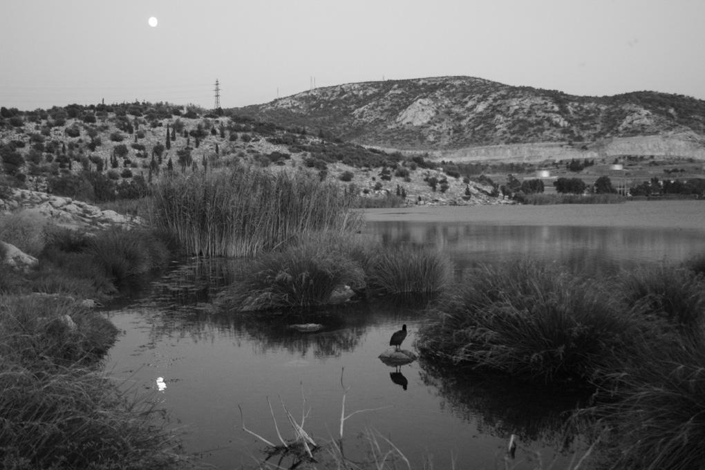 Γλσζηηθφ κέξνο «Κνηκήζνπ Πεξζεθφλε» 14/41 Όνειπα για ση Λίμνη Κοτμοτνδοόποτ Καθαπιςμϋρ σηρ λίμνηρ και απομάκπτνςη σψν υεπσύν τλικύν. Ενσοπιςμϋρ σψν πηγύν πόπανςηρ και λήχη κασάλληλψν μέσπψν.