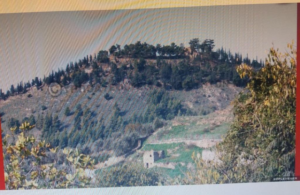 Επισκοπή Άνω Βόλου Βόλος, Μαγνησία Στο λόφο σώζονται ερείπια αρχαίων και βυζαντινών τειχών, λείψανα κινστέρνας (δεξαμενή) βυζαντινού στρογγυλού πύργου, καθώς και άλλων κτισμάτων, που φανερώνουν μια