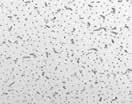 18-028 ATLAS Ψευδοροφή ορυκτών ινών σκουλήκι Διαστάσεις Τύπος Συσκευασία (m 2 / κουτί) m 2 90001613 600 χ