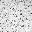 CORTEGA Ψευδοροφή ορυκτών ινών σκουλήκι Διαστάσεις Τύπος Συσκευασία (m 2 / κουτί) m 2 90001680 90001699 90001702 600 x 600 x 15 Board 5.