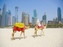 120 540 640 590 540 160 590 690 640 590 200 IBIS DEIRA 3* SUP 545 645 595 545 120 NASSIMA ROYAL HOTEL/ GRAND MILLENIUM BUSINESS BAY NEW 5 * SUP 575 675 625 575 150 625 725 675 625 200 685 785