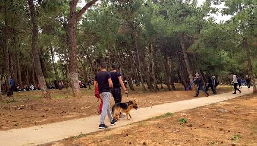 για πεζούς και ΑμεΑ στην πλατεία Δικαστηρίων και σε άλλα