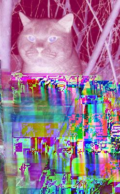 png', np.uint8(cat_funnier)) Το αρνητικό είναι αυτό του Σχήματος 4. Σχήμα 4: Με αλλαγμένα τα χρώματα funnier.png. 5. Τώρα θα προσπαθήσουμε να φτιάξουμε μία εικόνα από το μηδέν.