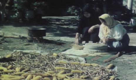 κέδρους και αμέτρητα μικρά κοχυλάκια στις ακτές! 36. Ελάτεια Σκηνοθεσία: Δημήτρης Τράγγαλος Διάρκεια 53.