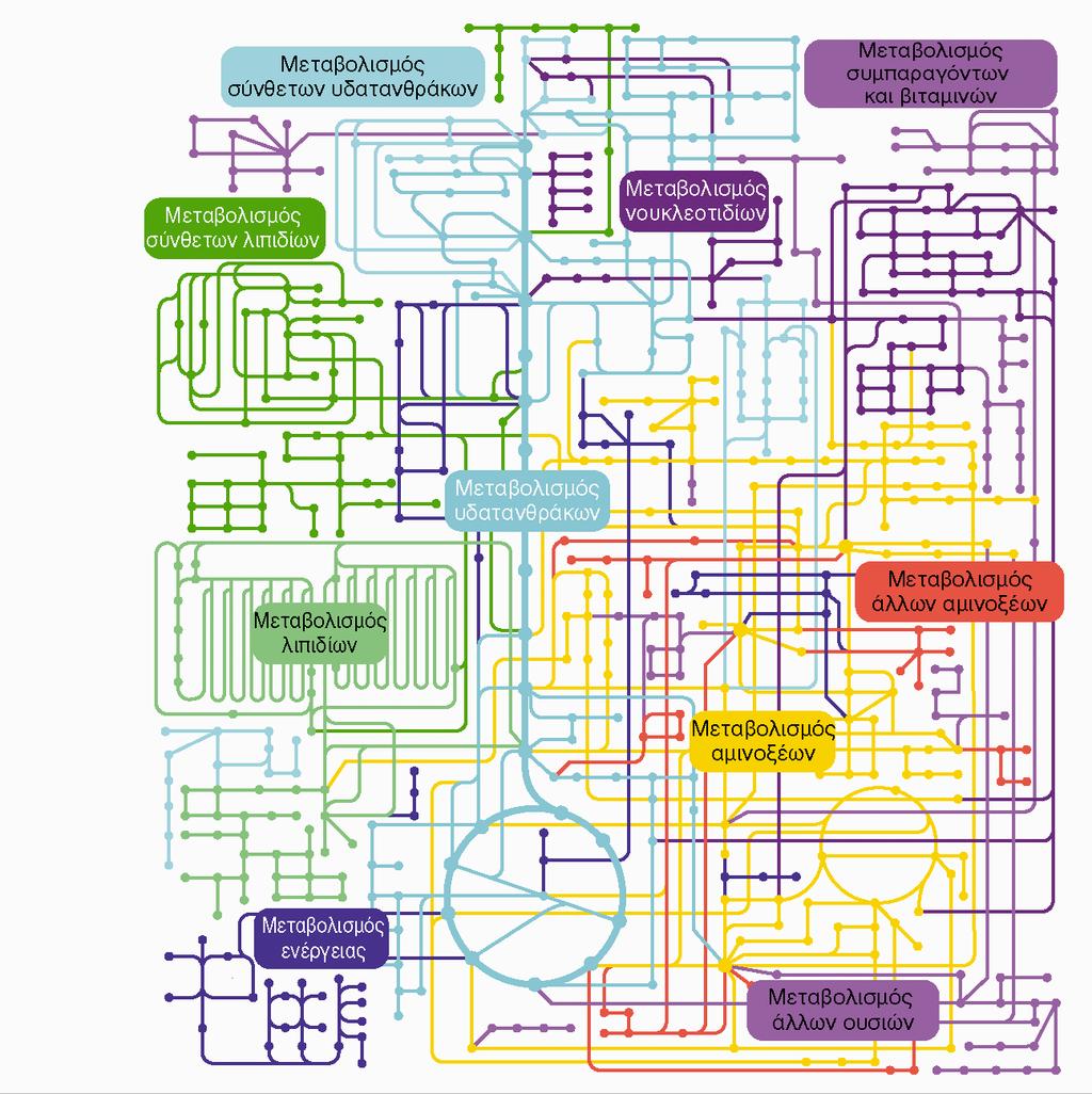 Μεταβολισμός είναι το σύνολο των αντιδράσεων που παράγουν ενέργεια αποδομόντας σύνθετα