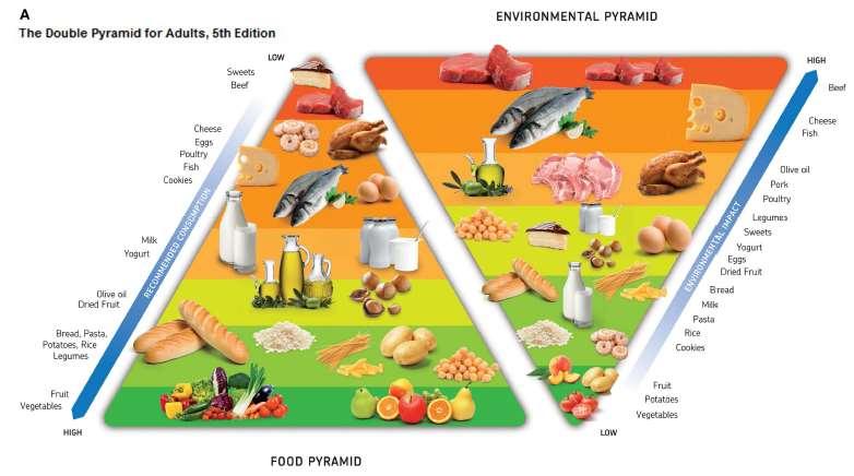 Barilla Center for Food & Nutrition. Double Pyramid 2014.