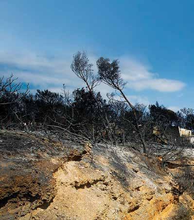 4 πυρινος εφιαλτης Οι μαρτυρίες πολλές Τα ερωτήματα για την τραγωδία πολλά. Ο συνολικός χειρισμός σε περιδίνηση κρίσης.