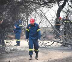 Ε. Για να αντιμετωπιστεί η κατάσταση ζητήσαμε βοήθεια από τις ΗΠΑ με μη επανδρωμένα αεροσκάφη από τις ΗΠΑ, για τον εντοπισμό εμπρηστών.