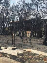 Η υπόθεση είχε γίνει πρωτοσέλιδο στον Τύπο, με την αστυνομία να επεμβαίνει και τις επίμονες νεαρές να επιστρέφουν πίσω.