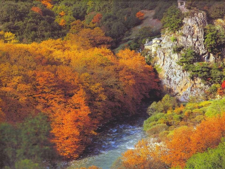 Βοϊδομάτης.