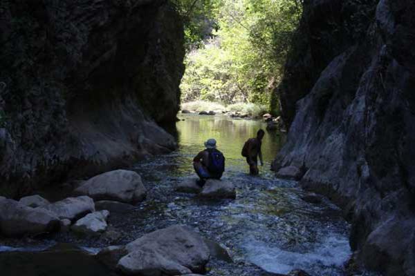 ΣΟ ΥΑΡΑΓΓΙ ΣΟΤ ΡΙΝΣΟΜΟΤ Σο φαρϊγγι του Ριντόμου χαρακτηρύζεται από φυςικϋσ ομορφιϋσ, όπωσ η πλούςια χλωρύδα, τα πολυπούκιλα πετρώματα και οι ςχεδόν κατακόρυφεσ πλαγιϋσ του.