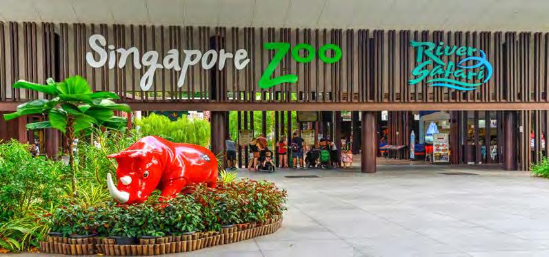 COMBO: ZOO AND RIVER SAFARI ZΩΟΛΟΓΙΚΟΣ ΚΗΠΟΣ & ΠΟΤΑΜΟΣ ΣΑΦΑΡΙ Έναρξη: 09:00 Διάρκεια: 8,5 ώρες Μια ολόκληρη μέρα απόλαυσης σε δύο από τα φυσικά αξιοθέατα της Σιγκαπούρης: Zoo Singapore και Safari