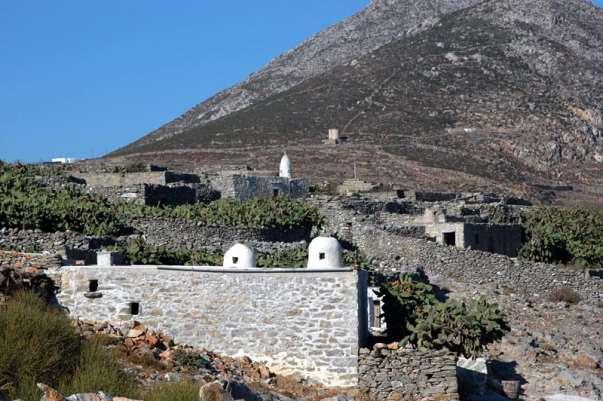 FLORA AMORGINA 147 Αν και πολλά σπίτια έχουν συντηρηθεί ο Ασφοντηλίτης παραμένει και σήμερα ένα ακατοίκητο χωριό. Το πράσινο που φαίνεται στις αυλές είναι φραγκοσυκιές.