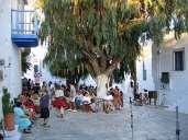 Στην εξέλιξη αυτή συνετέλεσε το καθεστώς της αυτοδιοίκησης που απολάμβανε, όπως κα οι εμπορικές και άλλες σχέσεις που αναπτύχθηκαν με την Μικρά Ασία και την Κωνσταντινούπολη.